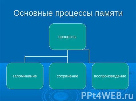 Память и её способности к искажениям