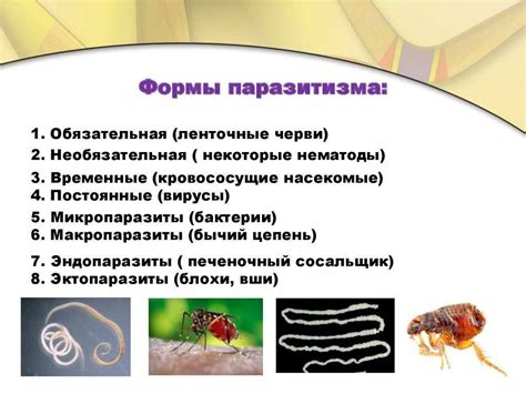 Паразитизм в биологии и экологии: форма антагонизма и приспособления