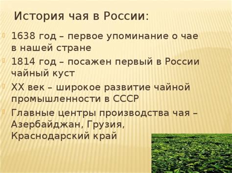 Первое упоминание о чае в Западной Европе