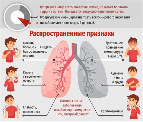 Первые признаки формирования легких