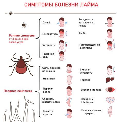 Передача инфекций через укус клеща