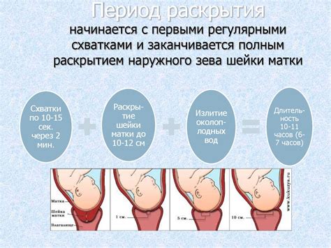 Период беременности и послеродового периода