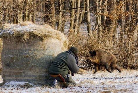 Период и условия охоты