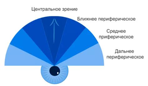 Периферическое зрение: синоним бокового зрения