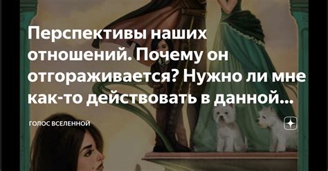 Перспективы и решения в данной ситуации