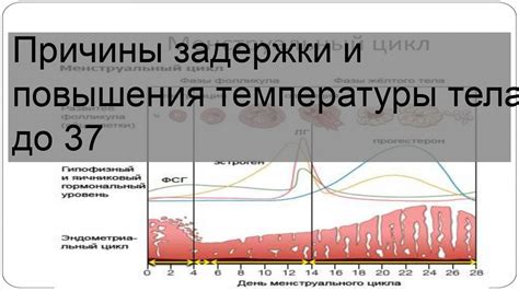 Перспективы повышения температуры до 37°C