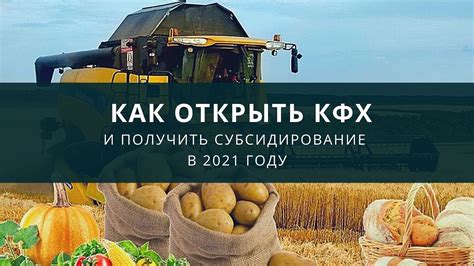 План информационной статьи: Как создать собственное КФХ без партнеров и инвесторов