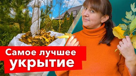 Плотная листва как надежное укрытие