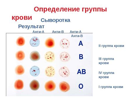 Повышаемая температура и сдача крови: совместимость