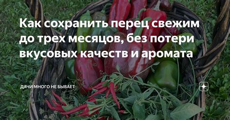 Повышение аромата и вкусовых качеств