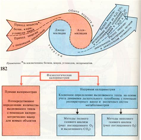 Подзаголовок 3: Кола и обмен веществ организма