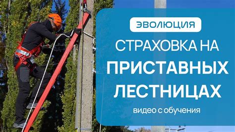 Подходы к защите при работе на лесах без пояса