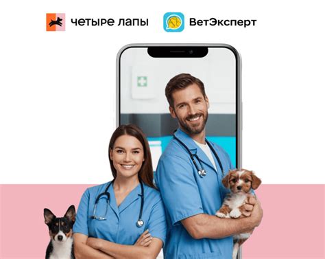 Поиск ветеринарной помощи