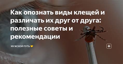 Полезные советы: как различать правду и вымысел