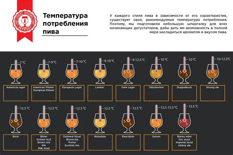 Полезные советы по выбору пива