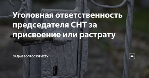 Полномочия и ответственность председателя СНТ