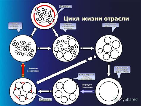 Положительные эффекты половой жизни на цикл