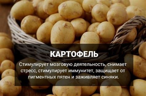 Польза и вред измельчения картофеля в блендере