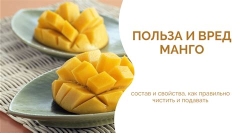 Польза и вред косточки манго