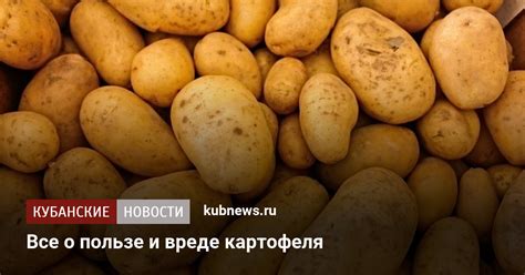 Польза и вред соления картошки