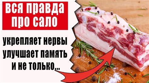 Польза сала для организма