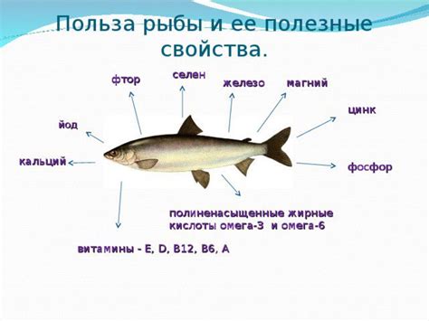 Польза соленой рыбы в рационе кормящей матери