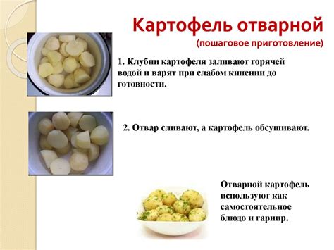 Польза сырой картошки для крыс