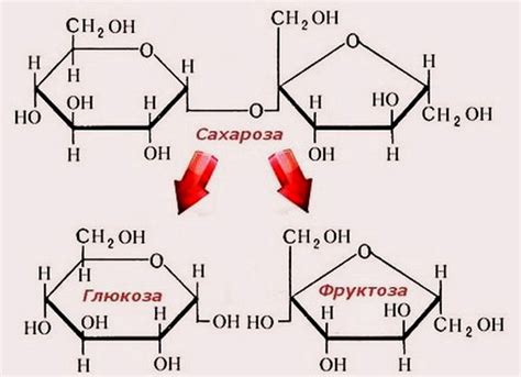 Пользователи о меди в сахарной браге: полезность и эффективность?