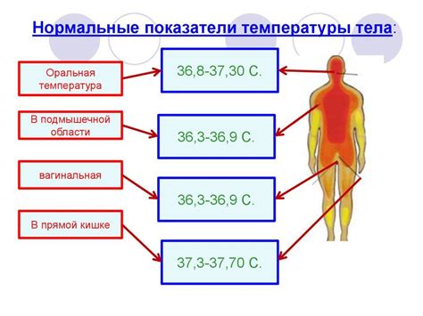 Помощь в регулировании температуры тела