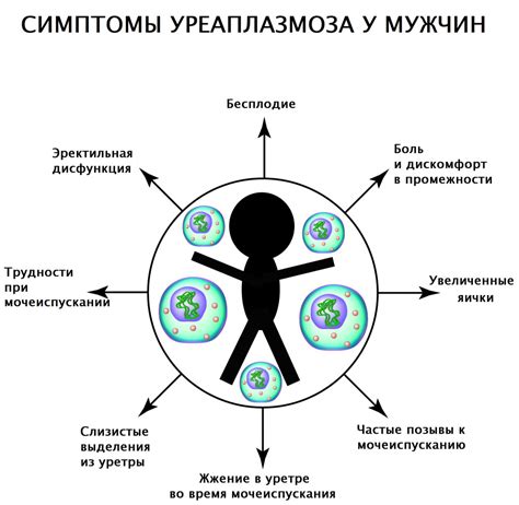 Понимание уреаплазмы