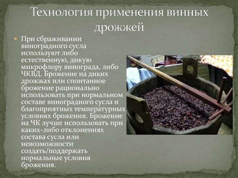 Понятие винных дрожжей и их влияние на процесс брожения