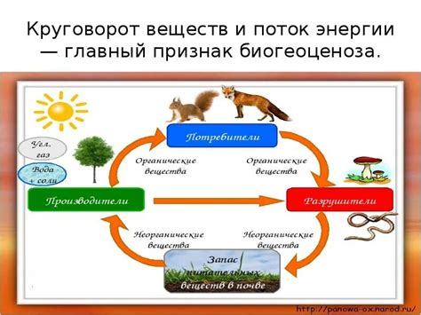 Понятие временного круговорота в предсказаниях