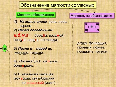 Понятие и функции мягкого знака в русском языке