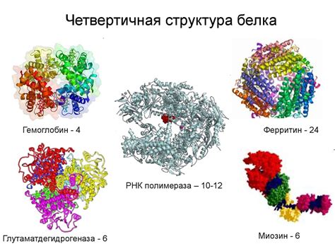 Последствия нарушения четвертичной структуры белка