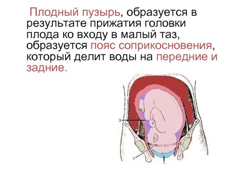 Послеродовый период и реабилитация после прижатия головки плода