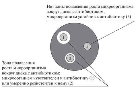 После прошедших тестов на наличие бактериальной инфекции