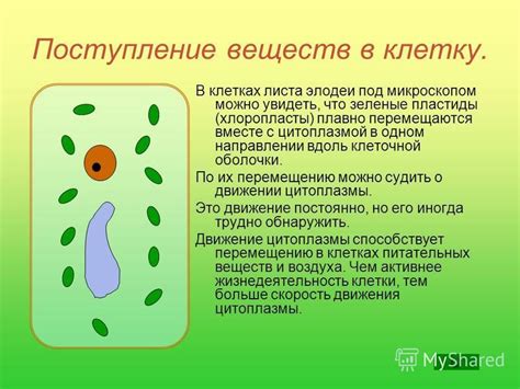 Поступление веществ