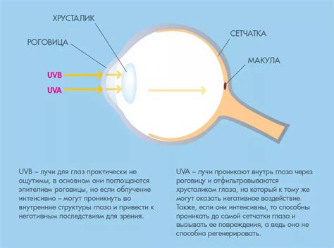 Потенциальное воздействие на глаза