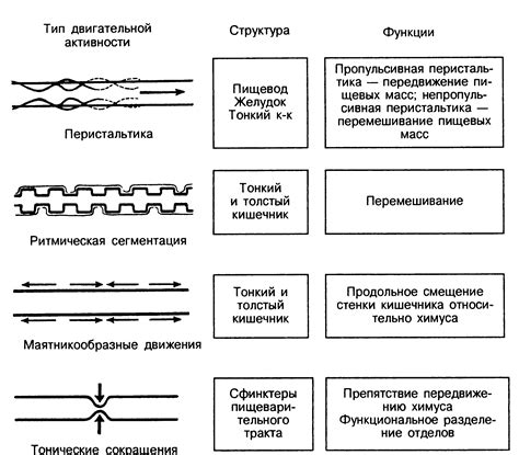 Потеря моторной активности