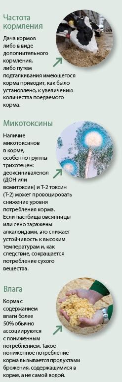 Потребление одиночного корма