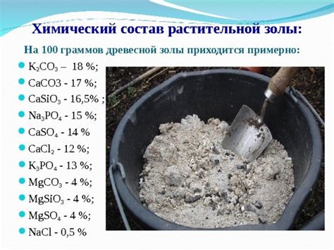 Почему зола полезна для растений