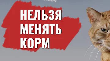 Почему нужно менять корм?