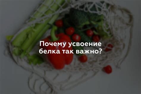 Почему потребление белка важно для нашего организма?