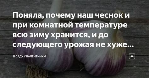 Почему чеснок хранится лучше при комнатной температуре