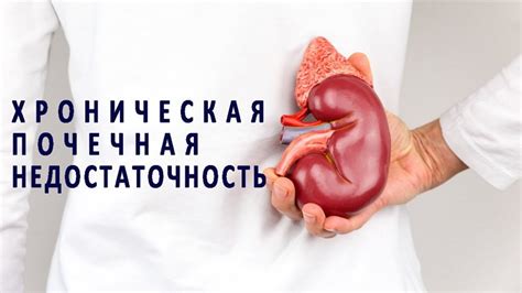 Почечная недостаточность: основные аспекты