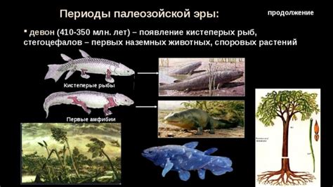 Появление первых пресмыкающихся: начало эры земноводных