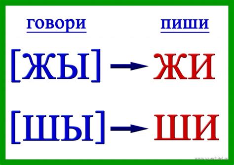 Правила написания буквы и после ж и ш