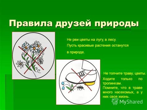 Правила обращения с обрезанными растениями