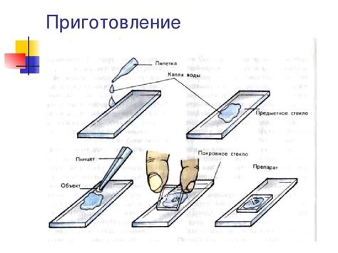 Правила приготовления сердценных фотошоперов