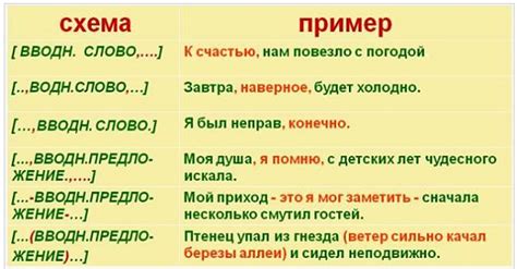 Правило после вводных слов и предложений